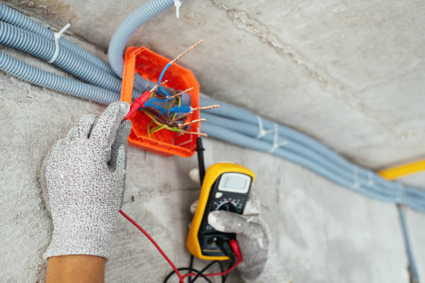 Best Electric Panel Repair  in Auburn Hills, MI